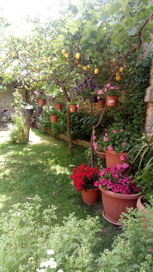 B&B Teresina Villasalto Luaran gambar